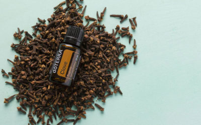 Clove Essential Oil