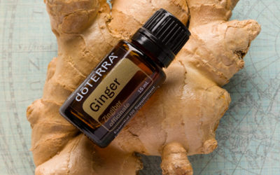 Ginger Essential Oil Benefits and Usage