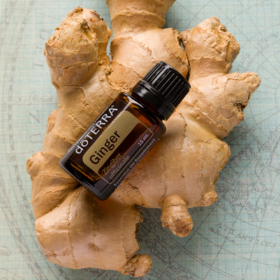Ginger Essential Oil Benefits and Usage